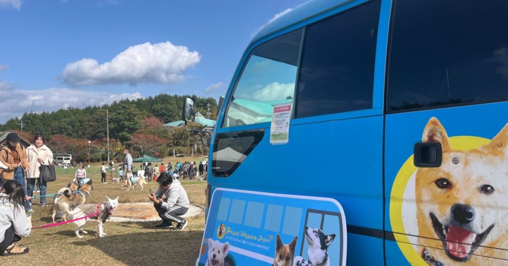 8cadabe141d5a27b58a20920ded93603