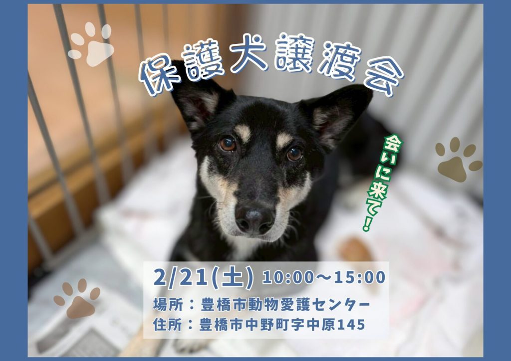 42243961b55a8b6879333072a1d208ec