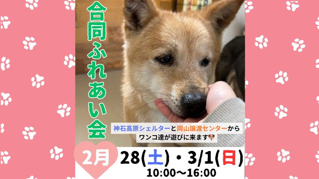 d9a809f8c5a6f78542679055a70095b1