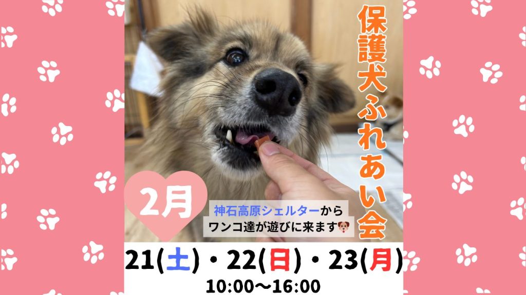 d751d8f47869f2d029a24ef8ba6fa07f