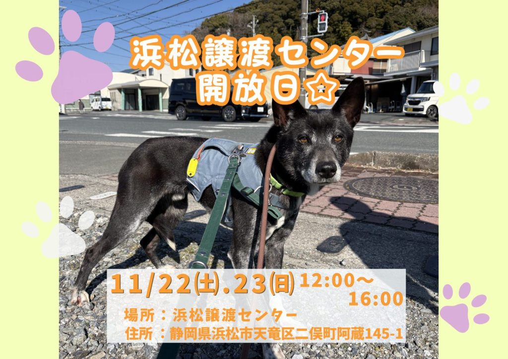 【ピースワンコのイベント】2/22(日)「浜松譲渡センター開放日!保護犬に会いに行こう♪」(浜松譲渡センター) 2 88fd3588ad137d97ec8baa5af548590a