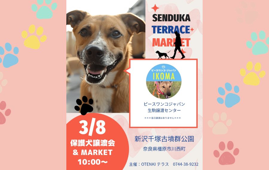 【ピースワンコの譲渡会】3/8(日)「千塚テラスマーケット」参加(奈良/橿原市) 3 775332e0cb5b61dd25af7b95929eb049