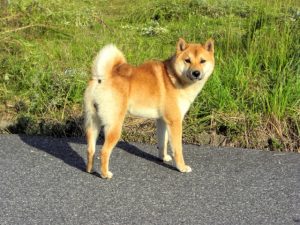 0bd36df5fa8fd63176f37b9d28957da5