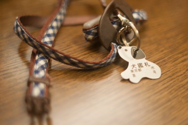 a6fb01d41c901baa64cdaf1229e0dd24