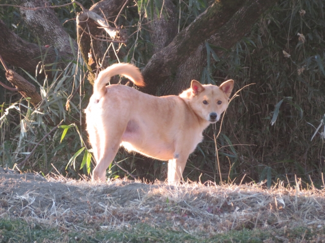 ad2842cf272a7131a2b74614ec450ca2