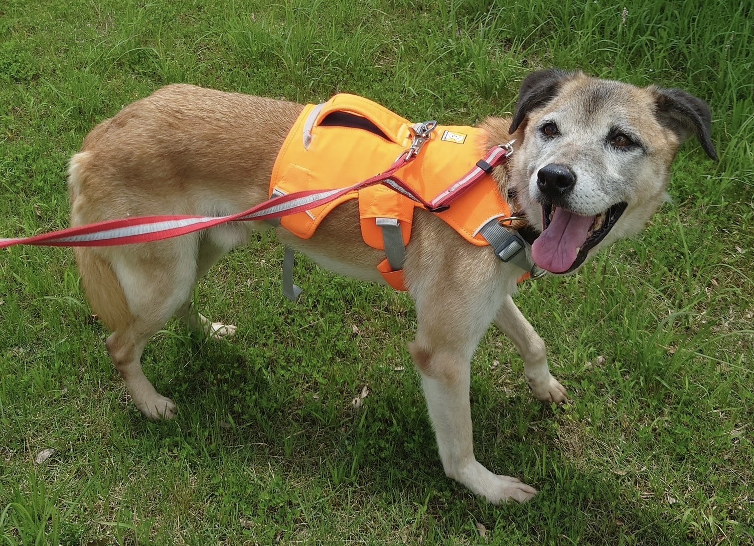 4bd6fb0c0bb62dd52a5ca4a0a7d86ef9