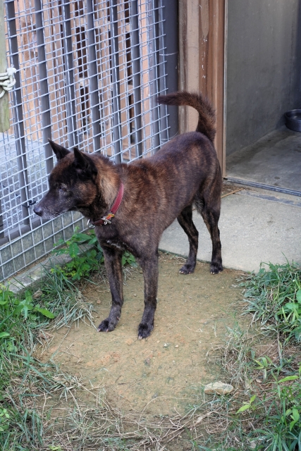 9e31a1af3dfe570afe11dbf80fbd8931