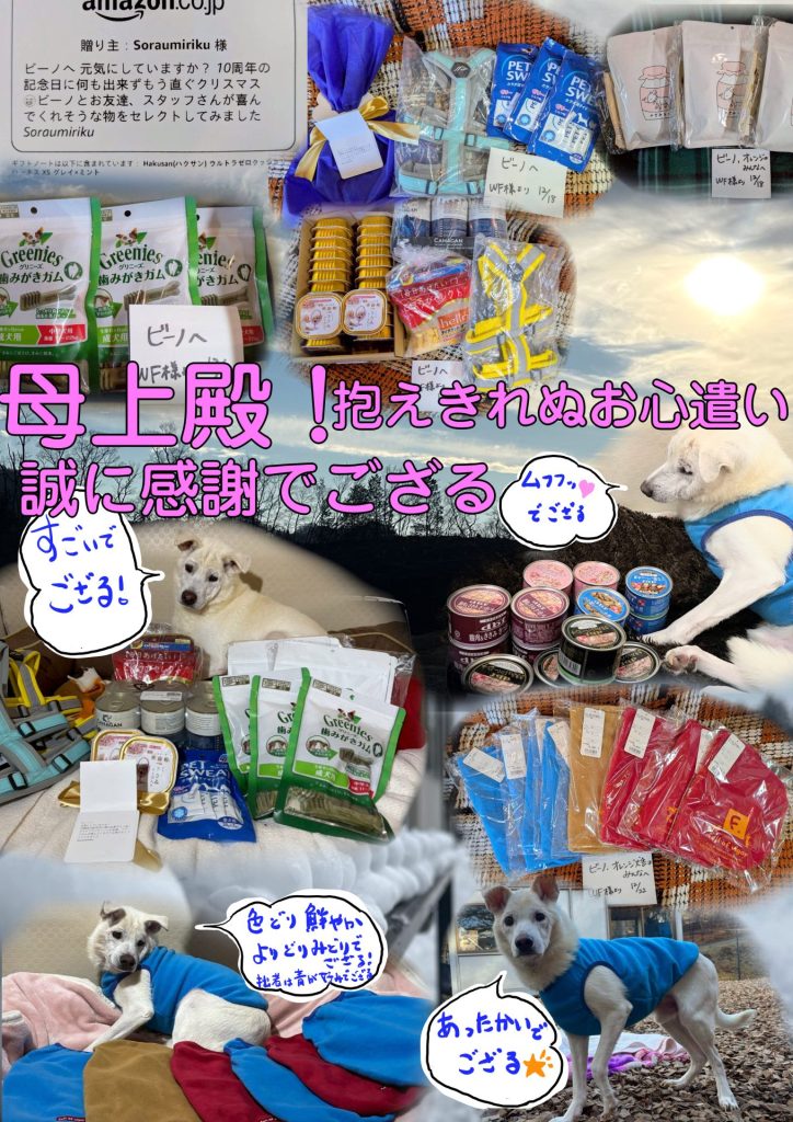 ワンだふるファミリーからの近況報告:2026年2月21日(土曜日) 6 a5cd063b539ddbc3250273318a619d39