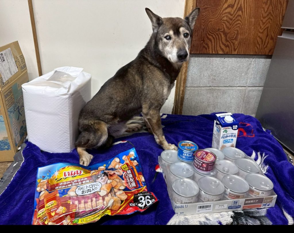 ワンだふるファミリーからの近況報告:2026年2月21日(土曜日) 12 273e90c1ab239f9306e42b5b47fc59d4 1