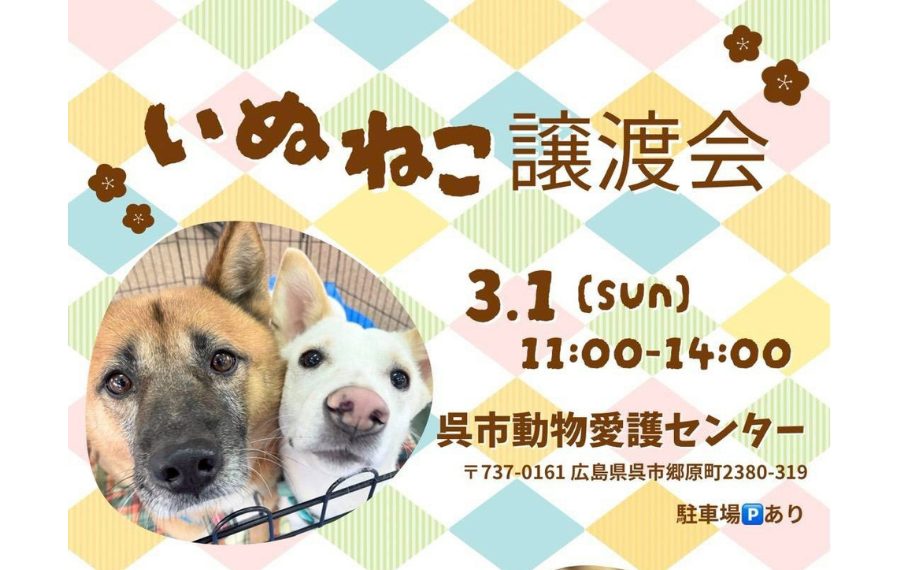 【ピースワンコの譲渡会】3/1(日)「いぬねこ譲渡会」に参加(広島/呉市) 2 2 3