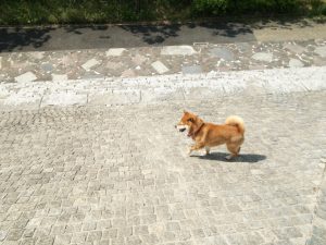 5ef77c2bc7d35a5b02d3a66c5511b209