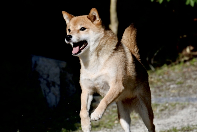 0c19c0d3d6d3359cef2f70682b2d7a44