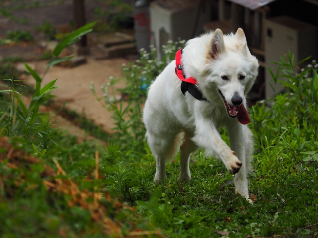 b07cb8e208e3667fdebfa14decac2303