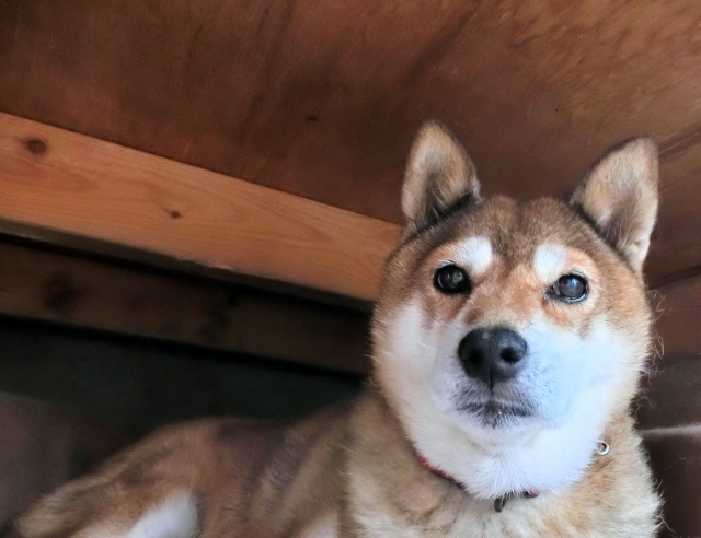 6e67e543c15f225354f5f59188a69ccd