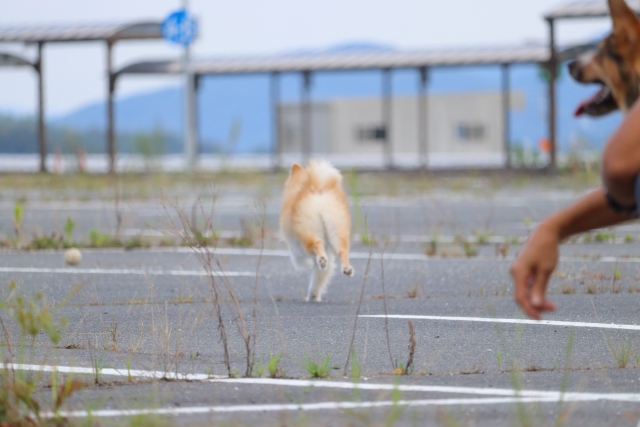 b65a9a660cbd66fce4b729587368b231