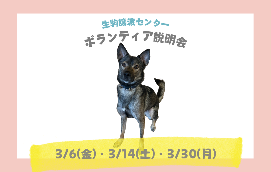 【ピースワンコのイベント】3/6(金)、14(土)、30(月) ボランティア説明会※予約制(生駒譲渡センター) 1 7ed890b97b14085820db33fe192d3918