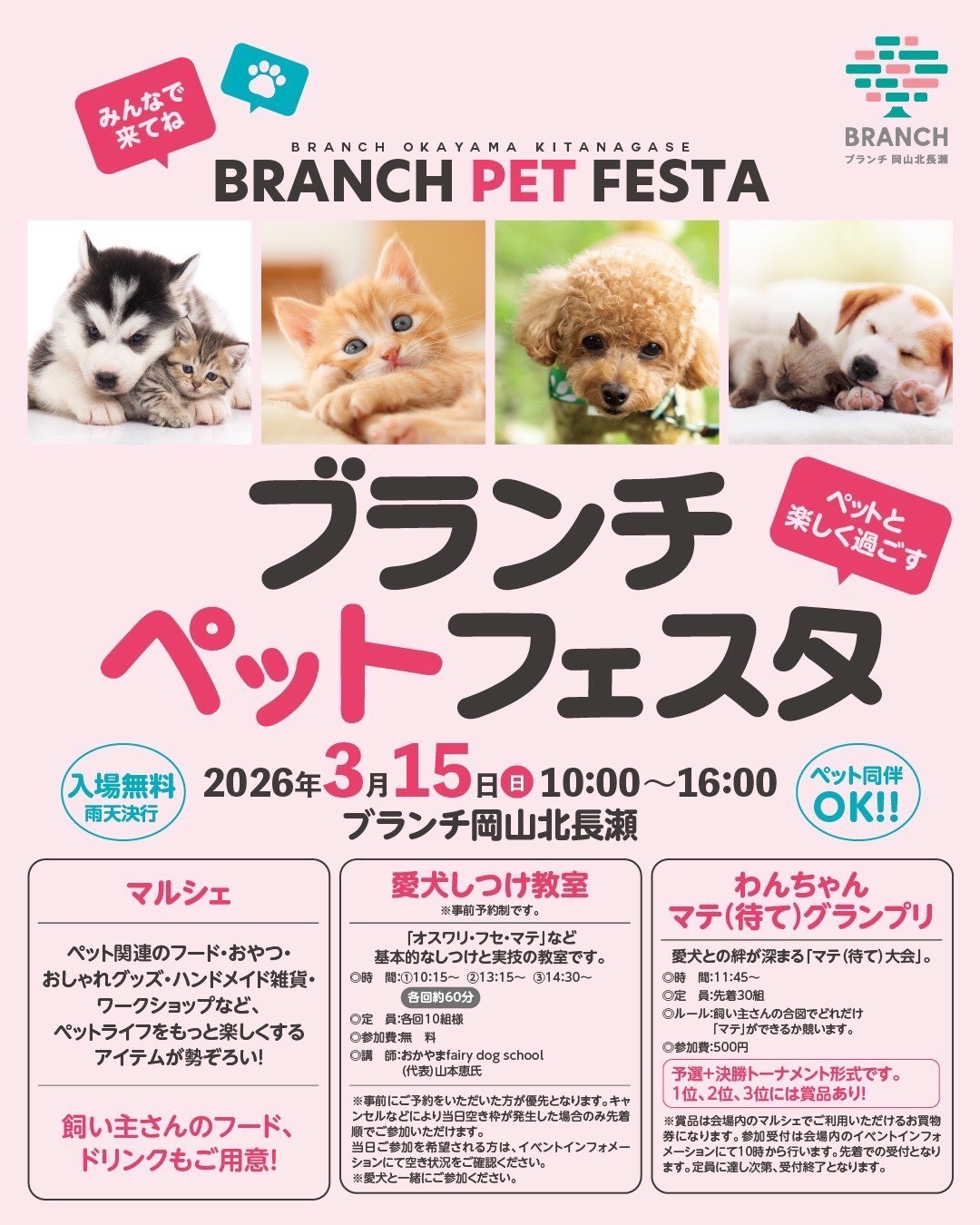 ピースワンコのイベント】3/15(日)「ブランチ ペット フェスタ」にて