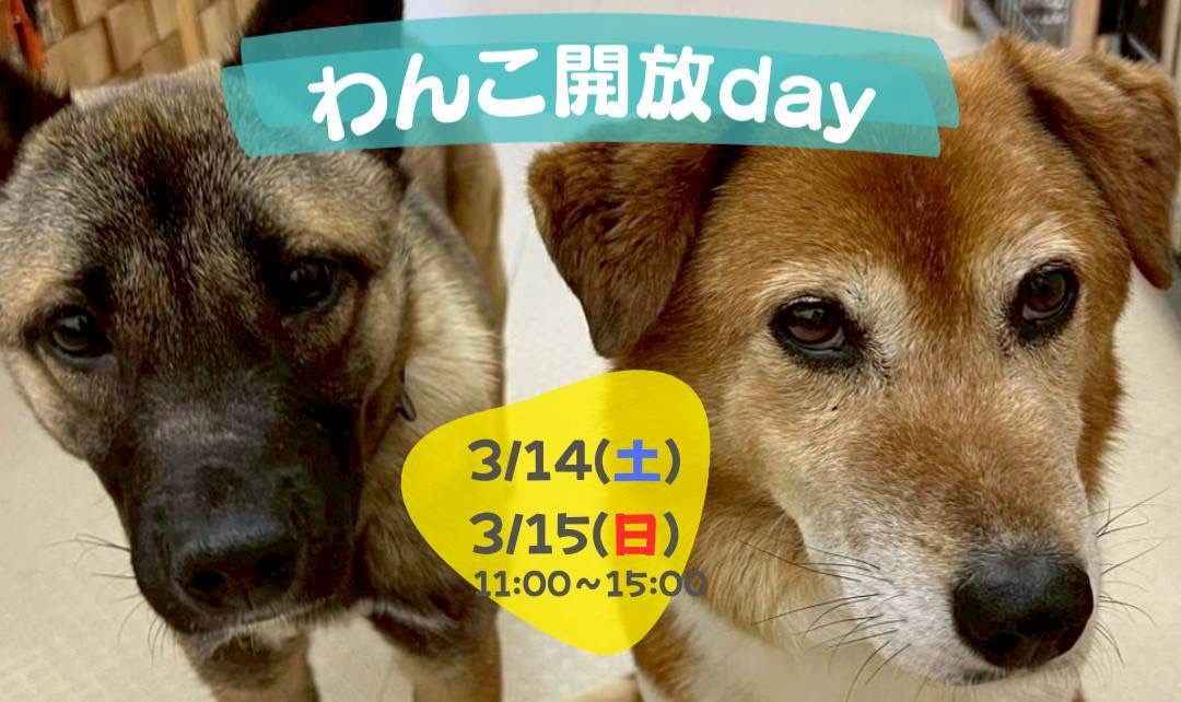 ピースワンコのイベント】3/14(土)、3/15(日)「ワンコ🐶開放day」(岡山