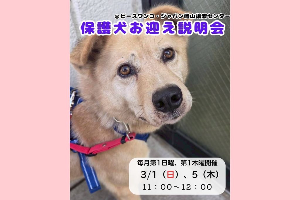 line oa chat 260225 134906