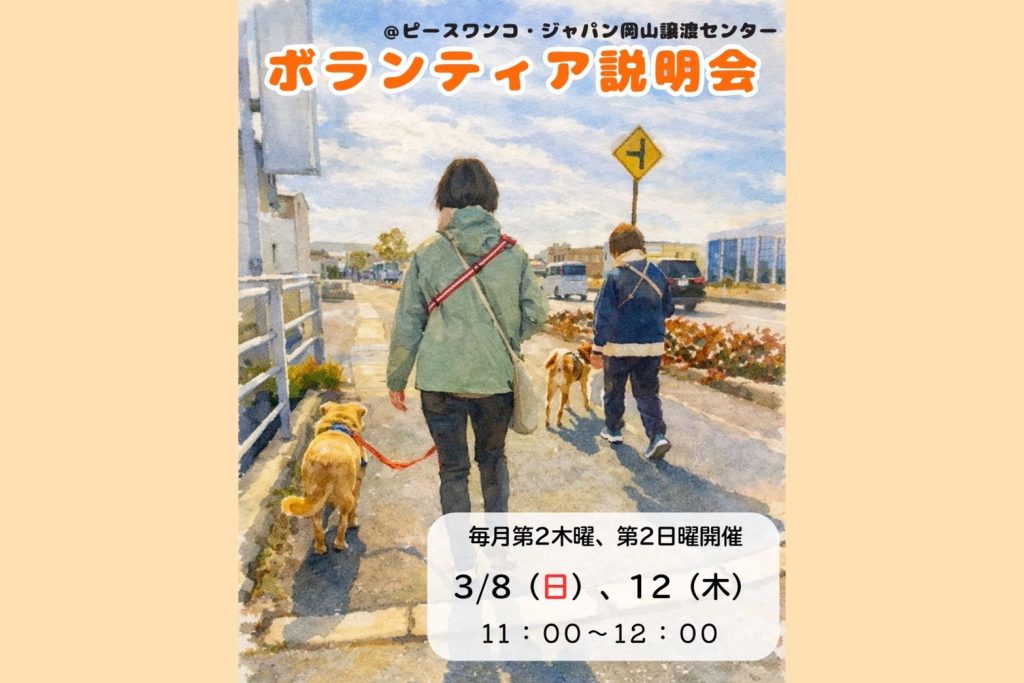 line oa chat 260225 134904