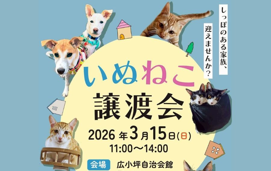 【ピースワンコの譲渡会】3/15(日)「いぬねこ譲渡会」に参加(広島/呉市) 1 1 5