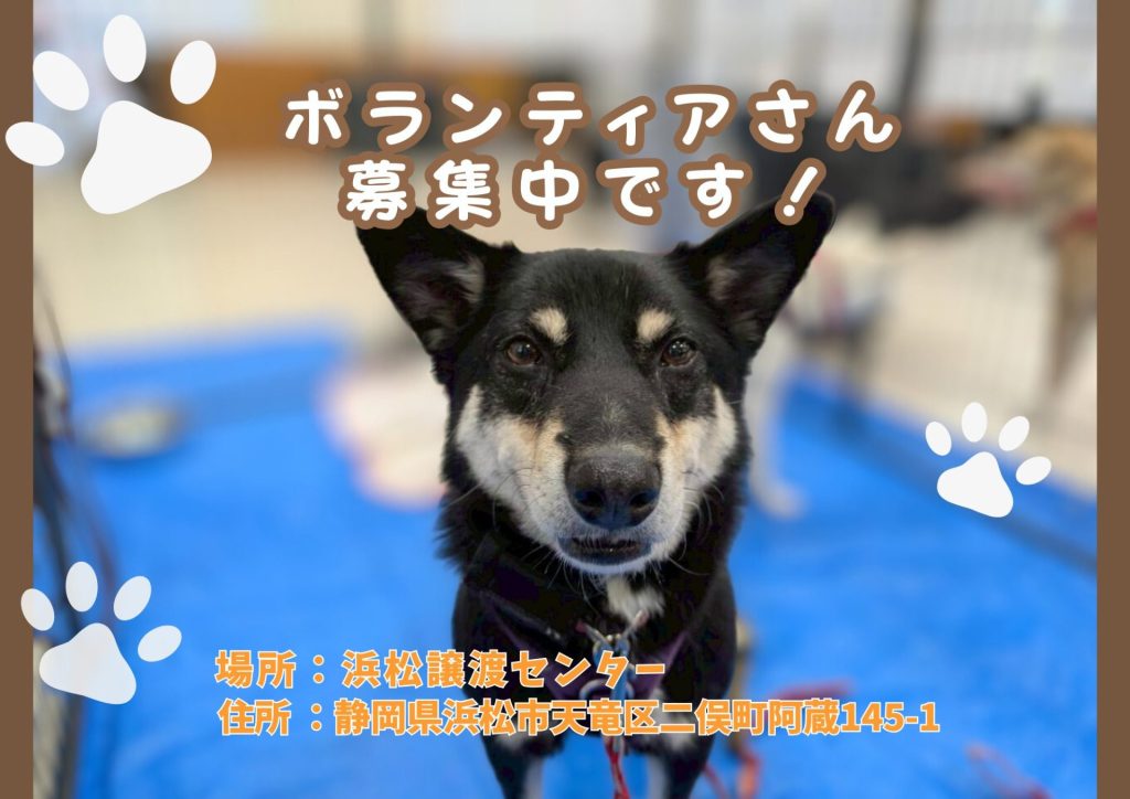 【ピースワンコのイベント】3/12㈭、21㈯、28㈯「ボランティア説明会」開催(浜松譲渡センター) 1 006c2c0a228d4920eecb2256897c4248