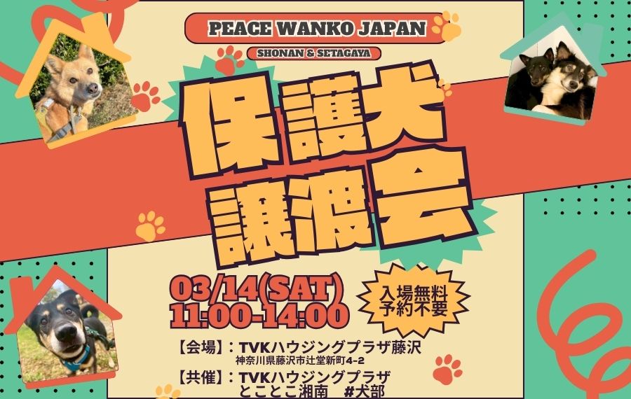 3/14(土)「TVKハウジングプラザ藤沢保護犬譲渡会」開催(神奈川県藤沢市) 2 ce983029adb928cf5f7b67c1ecb1f42c