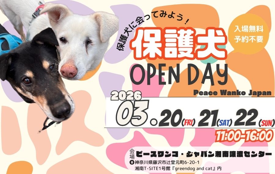 【ピースワンコのイベント】3/20(金)、21(土)、22(日)「保護犬OPEN DAY」を開催(湘南譲渡センター) 1 4ff3690b4b1cf424e3f023cb1d305ff3