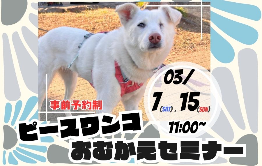 譲渡会・イベントのご案内 8 173bc799f7de54732200d1996031948c