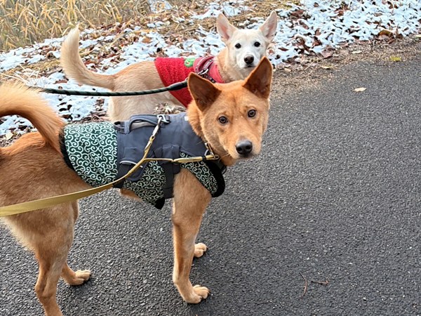 Journal 2 3840e2471ba963a0e288d8b6afb0447a