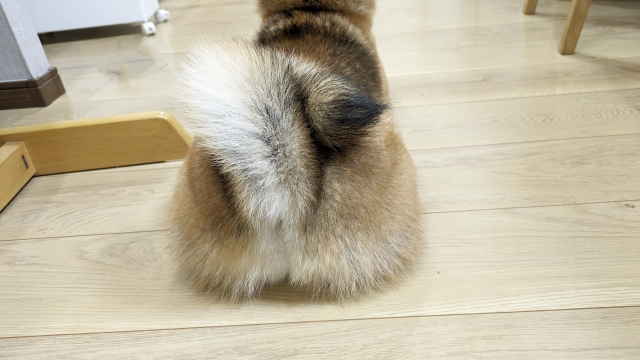 Journal 1 6545a553ea69243ab56c632b9ed4beaf