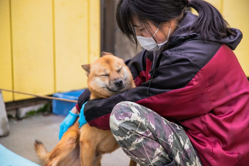 犬が飼い主にお尻を向けるのはなぜ?理由から信頼関係を築く対応まで解説【獣医師監修】 13 518bb0809e8ff86c7f5913a3fbd0e755