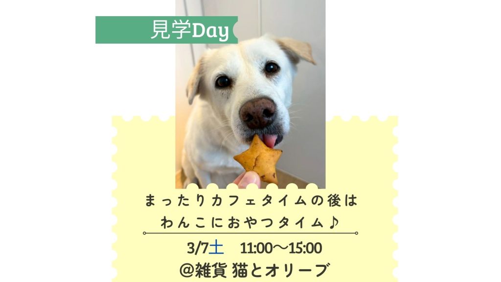 譲渡会・イベントのご案内 8 9fb979758378c42a59e937ac0edd767a