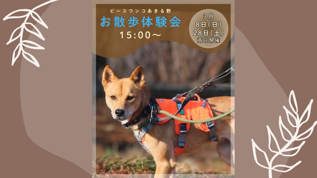 譲渡会・イベントのご案内 7 1b272fa2143638cabfeec9629025adab