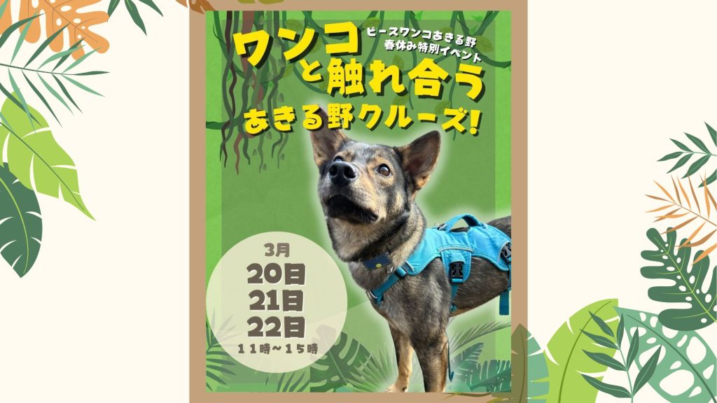 d380f597fb47602addc3dc47f0d53716