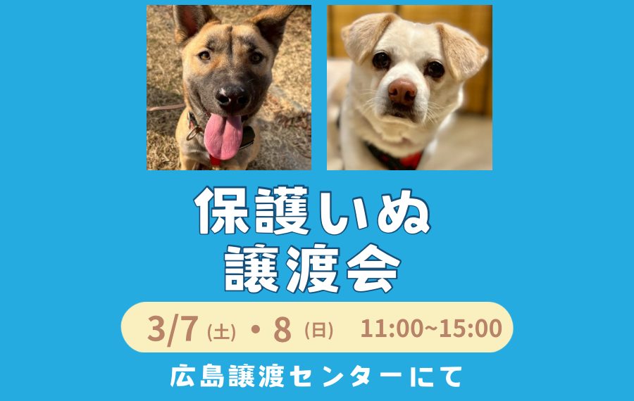 0CA9FF63 E815 438C 9272 859F8AAED5F2