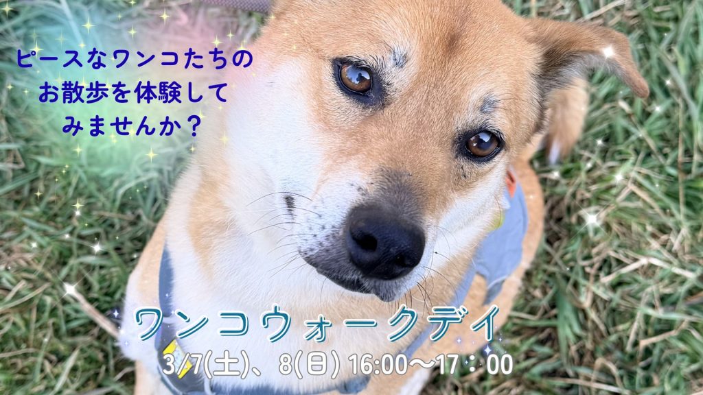 794f3b0dc053b79e971d1c8277af7c9d