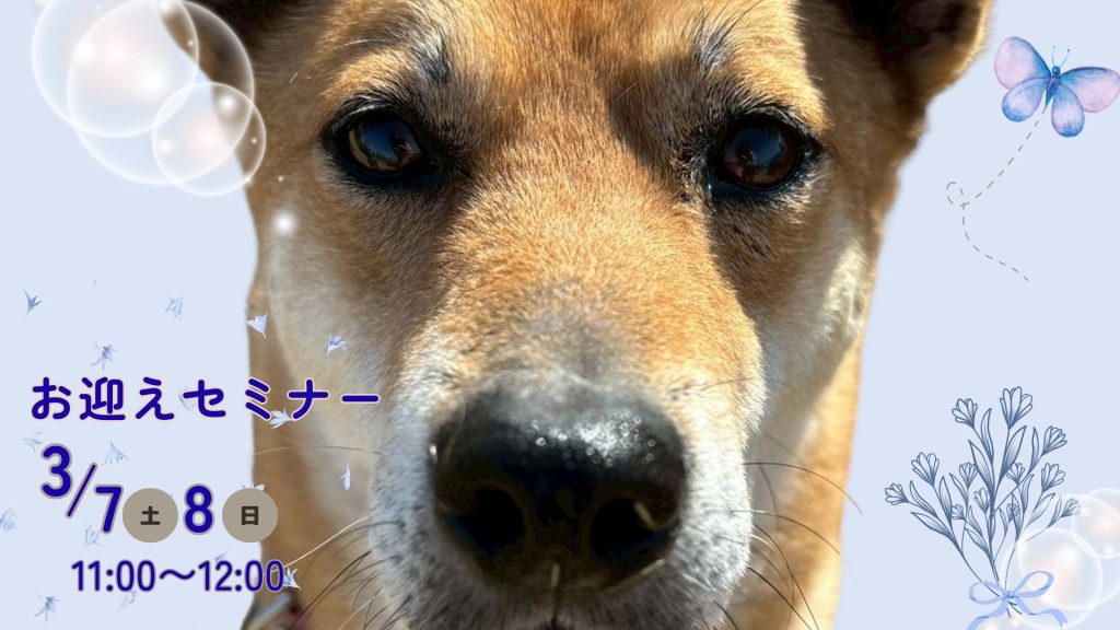 605fb4f4d0b0ff499b18614f1184d1e5