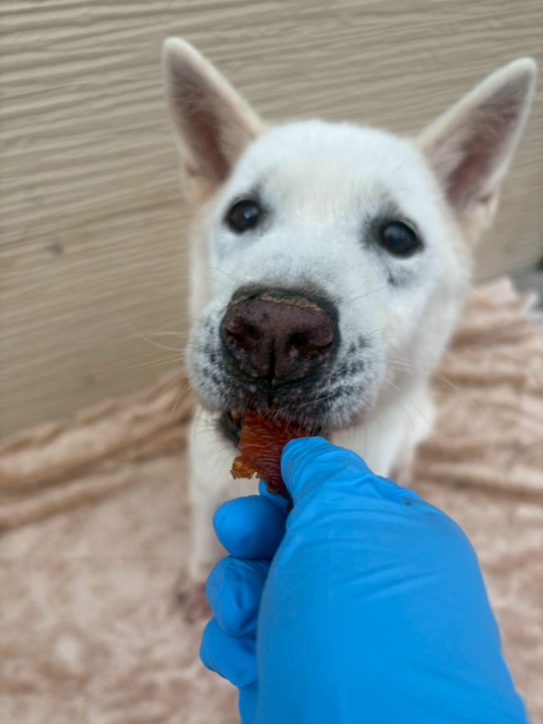 a979f8638c437a458d5a49abd9a6d310