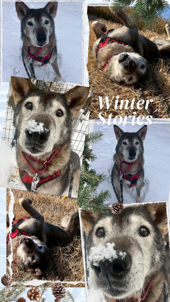 aa5c67357d6ebfeaf568f153f71a94a6