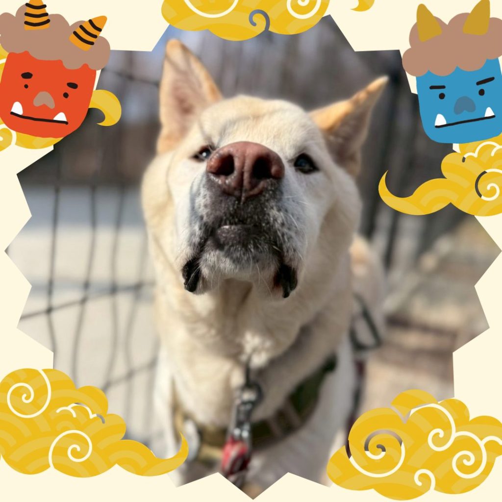 4a6b48853ae71a82ad63d3d82fc1f9af