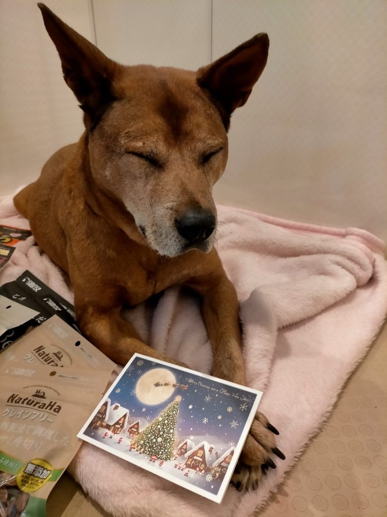 f866fcf8f11266e5829af2763d3ce9d4