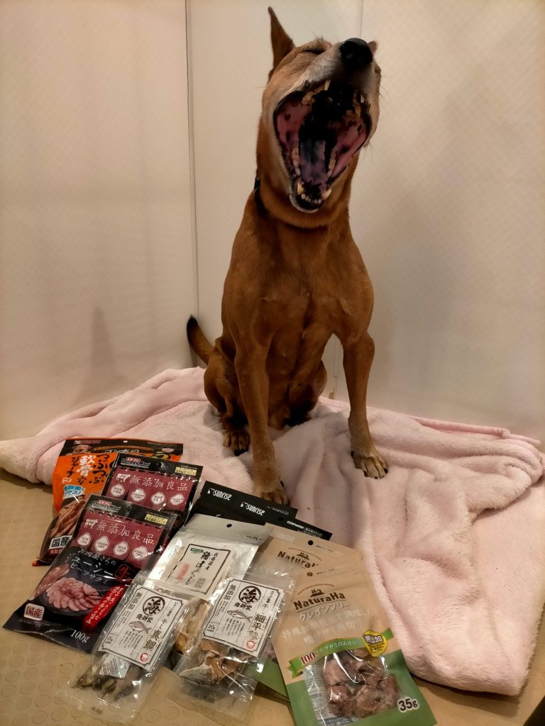 25896b1b8e0a53ead74093f3bdeb1085