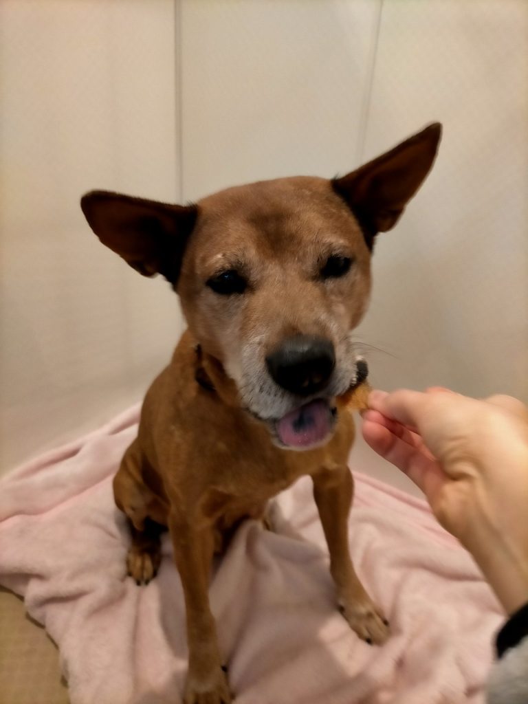 5ebe281220bc8a149c713f62de2dc00b