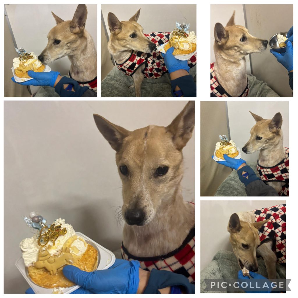 7d1f122b6328854c91baf26e858ba2e5