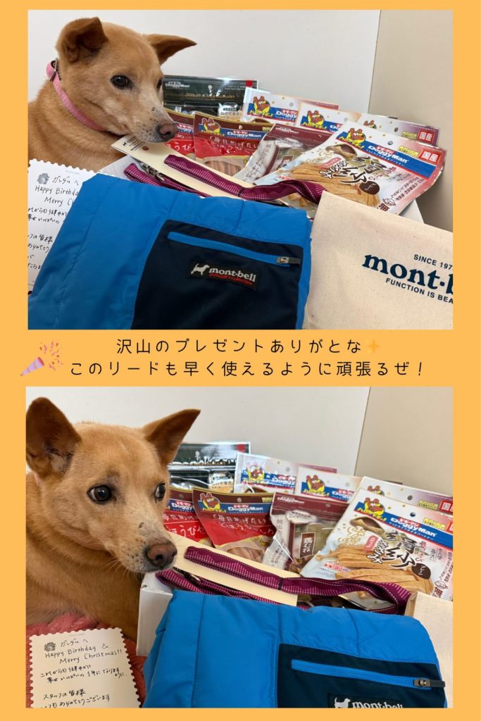 e87f1086f7bf9f59f1ec0b2dd2f320a4