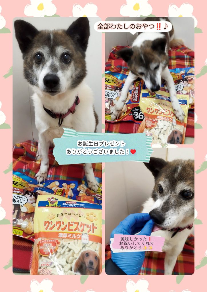 f359235cbb9fe739bbcf8f3b57a5c63b