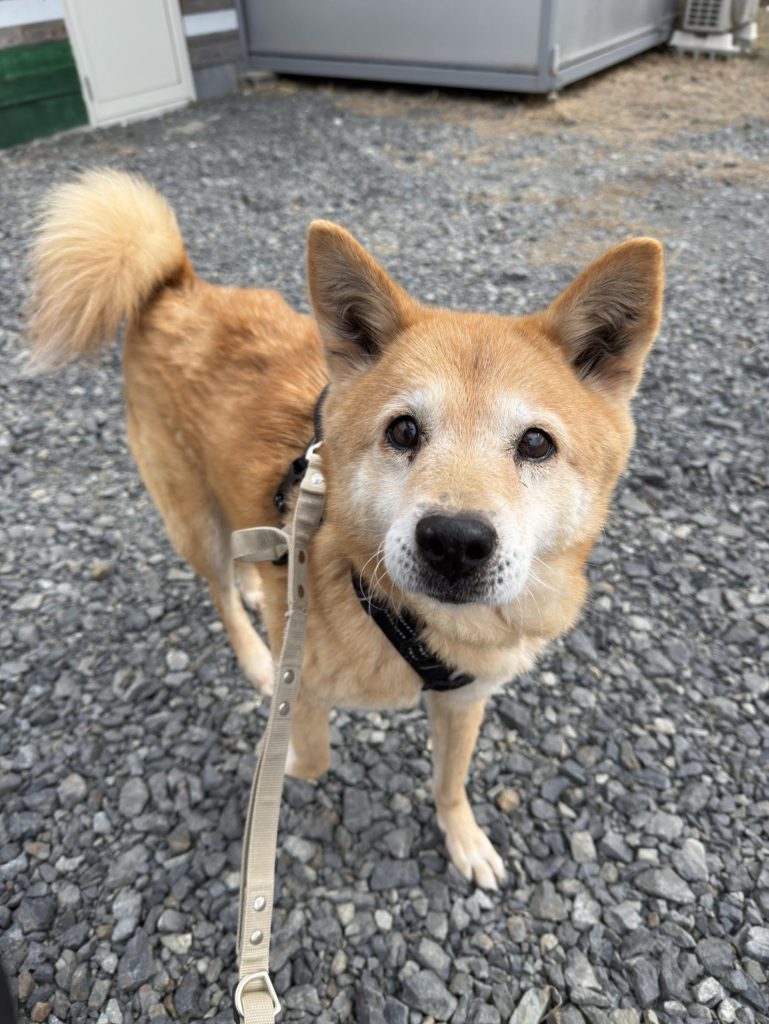 0108a4843bf73abec21fcb286710420a