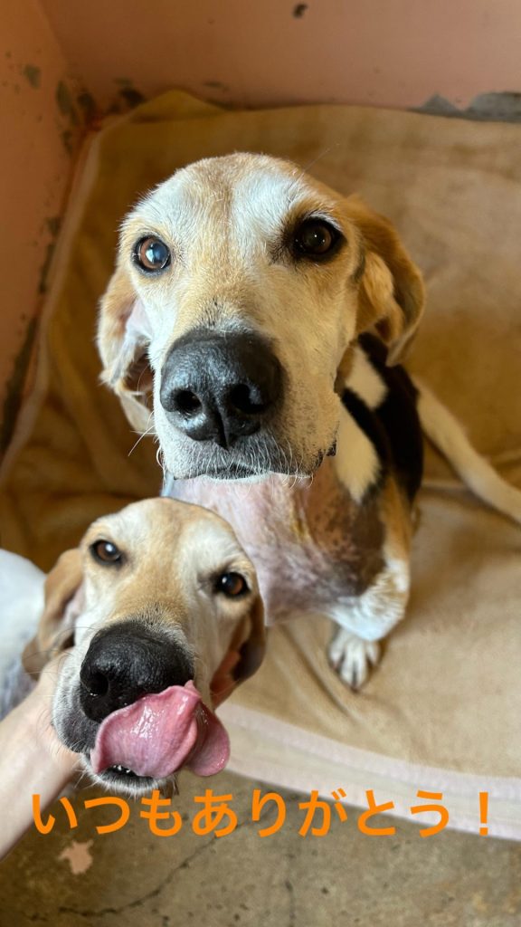 e4f3e565e0f2dc5c990d3196540fdd41