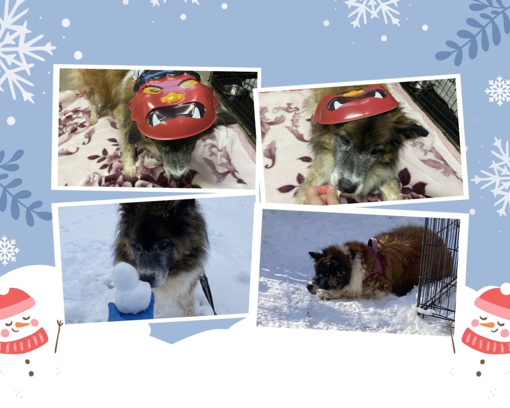 9dc934e9d73fad756ad230877882ac18